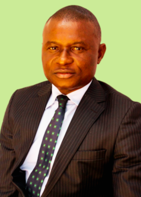 G M Odoemelam ED Projects and Operations, Flawless Ville Academy and Technologies Limited